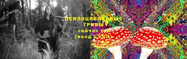 ешки Белоозёрский