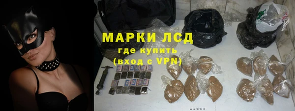 прущие грибы Беломорск