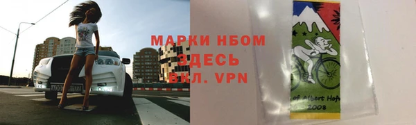 прущие грибы Беломорск