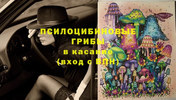 ешки Белоозёрский