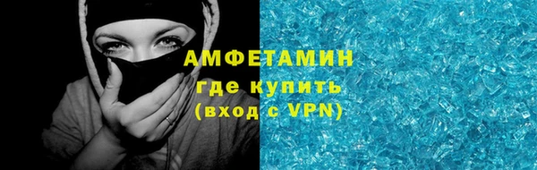 прущие грибы Беломорск