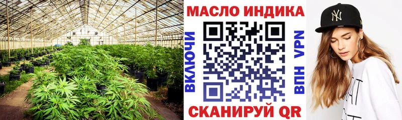 наркота  Новая Ладога  ТГК гашишное масло 