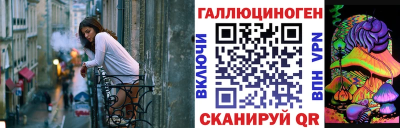 Псилоцибиновые грибы мухоморы  где найти наркотики  Новая Ладога 